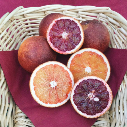 Bioland Blut Orange 0,5 kg