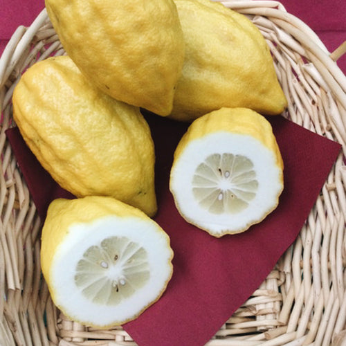 Bioland Cedro Zitrone 0,5 kg