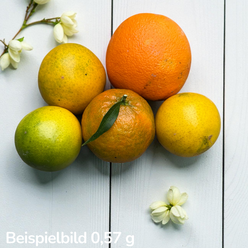 Bioland Zitrusmix orange 0,5 kg (ab Okt wieder)